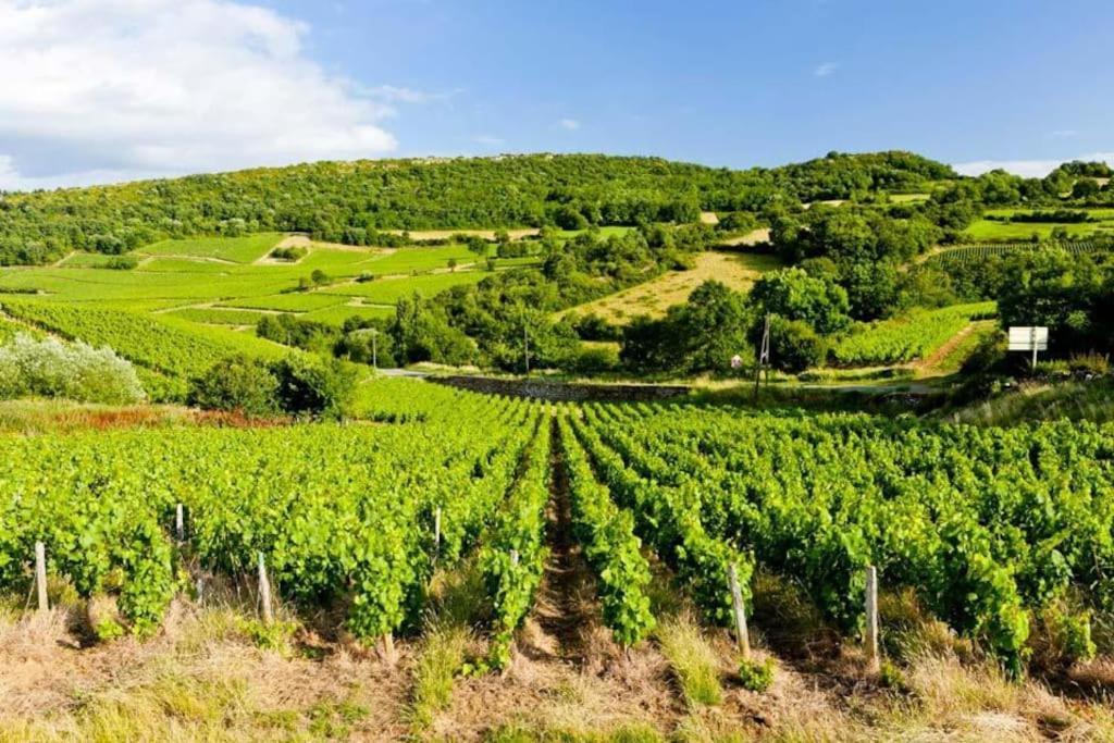 Appartamento Le Chardonnay - Locationtournus Esterno foto